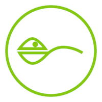 Detailed Recipes Spoon Icon